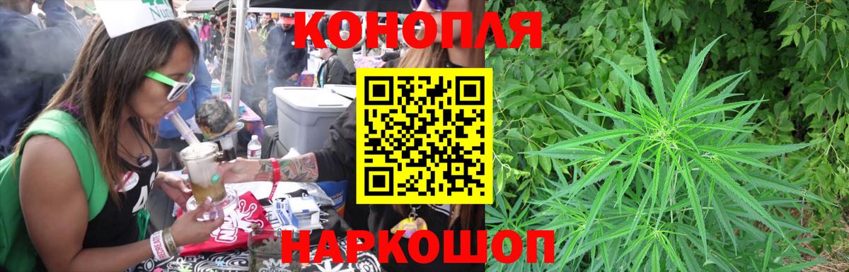 Конопля индика Михайловка